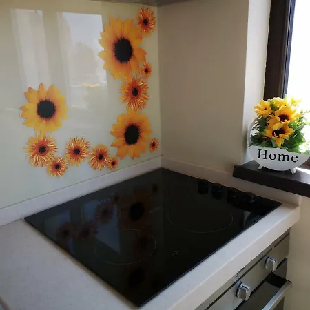 公寓 Apartament Kim 那沃达利